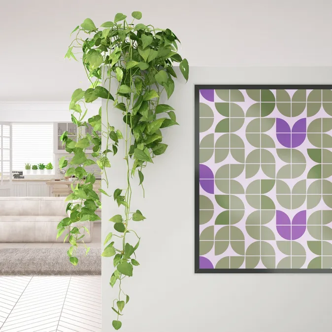 Matte Black DEHA 94 Metal Picture Frame